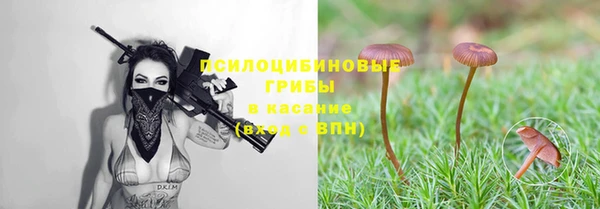 спиды Нягань