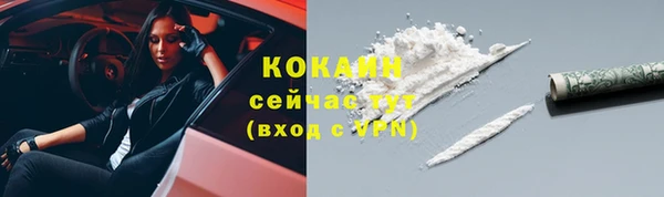 МДПВ Гусев