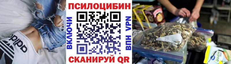 Псилоцибиновые грибы Magic Shrooms  продажа наркотиков  гидра ссылки  Кропоткин 