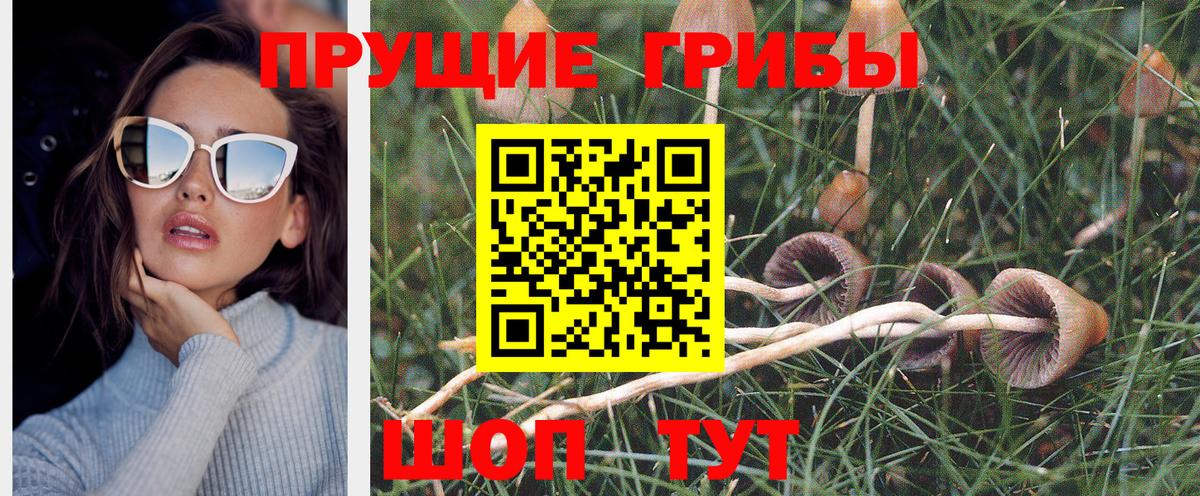 Галлюциногенные грибы Magic Shrooms Кропоткин