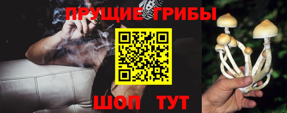 Галлюциногенные грибы мицелий  Кропоткин 